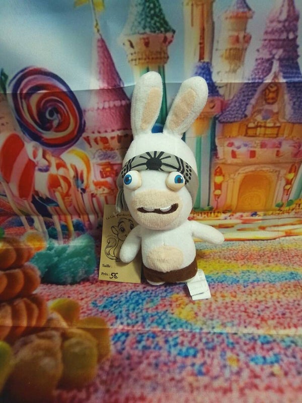 Lapin crétin