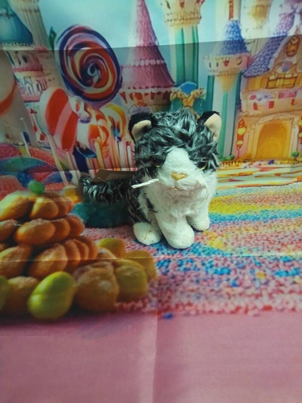 Chat