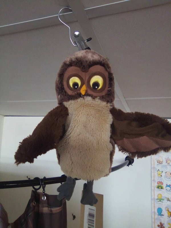 Marionnette hibou