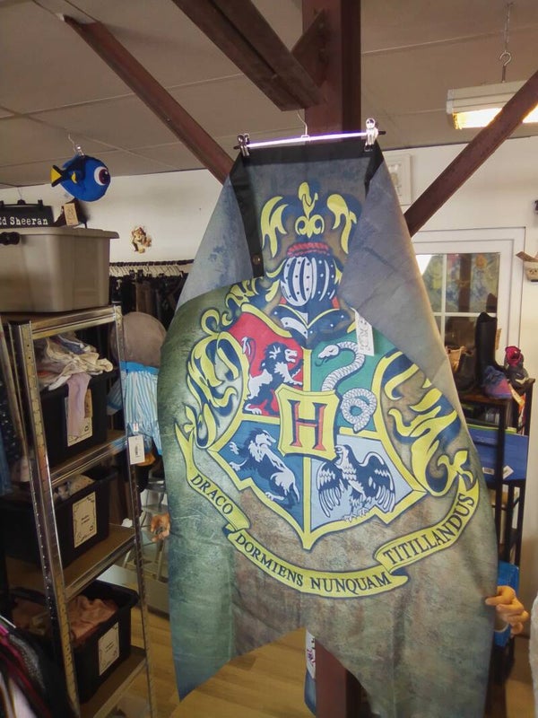 Fanion Harry Potter