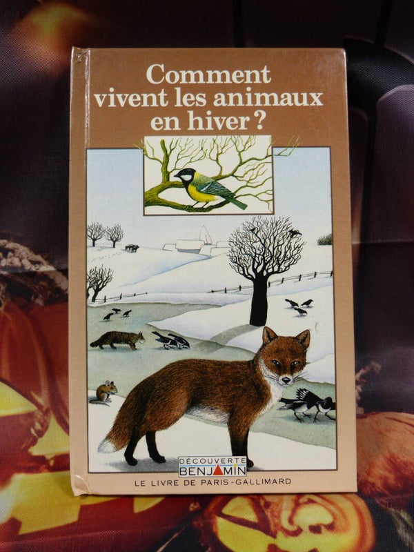 Comment vivent les animaux en hiver ?