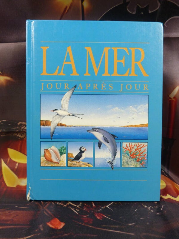 La mer jour après jour