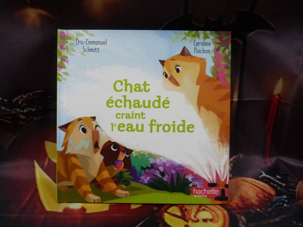 Chat échaudé craint l'eau froide
