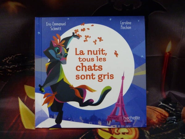 La nuit tous les chats sont gris