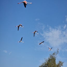 20250624_100044-standard.jpg