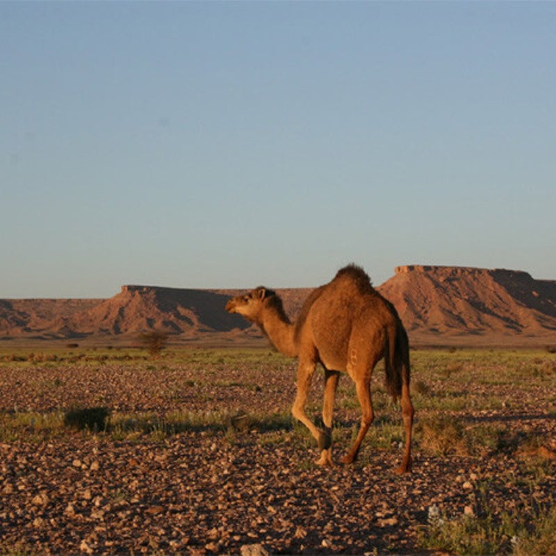 img-kasbah-luna-del-sur-06.jpg