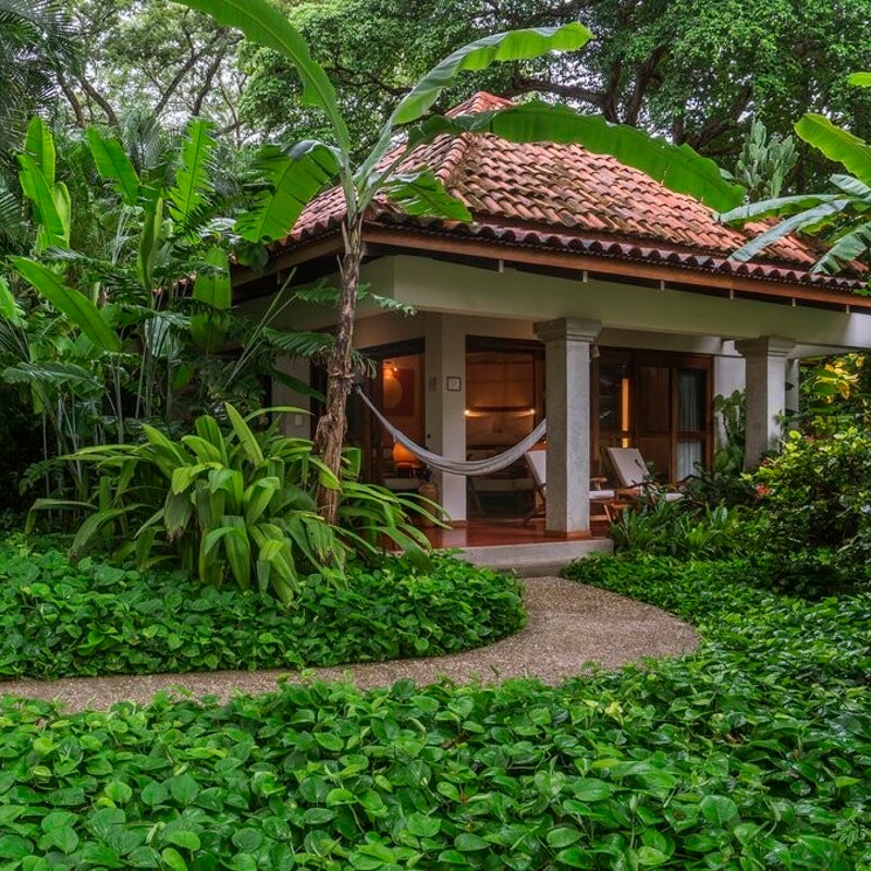 bungalow-web-01-standard.jpg