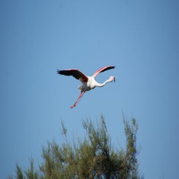 dsc01571-standard.jpg