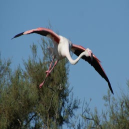 dsc01572-standard.jpg