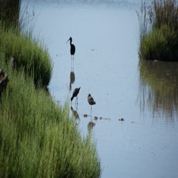 dsc01719-standard.jpg