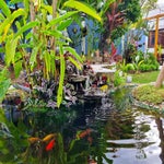 img-casa-jardin-del-mango-08-standard.jpg