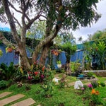img-casa-jardin-del-mango-10-standard.jpg