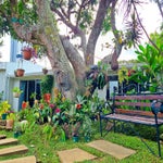 img-casa-jardin-del-mango-11-standard.jpg