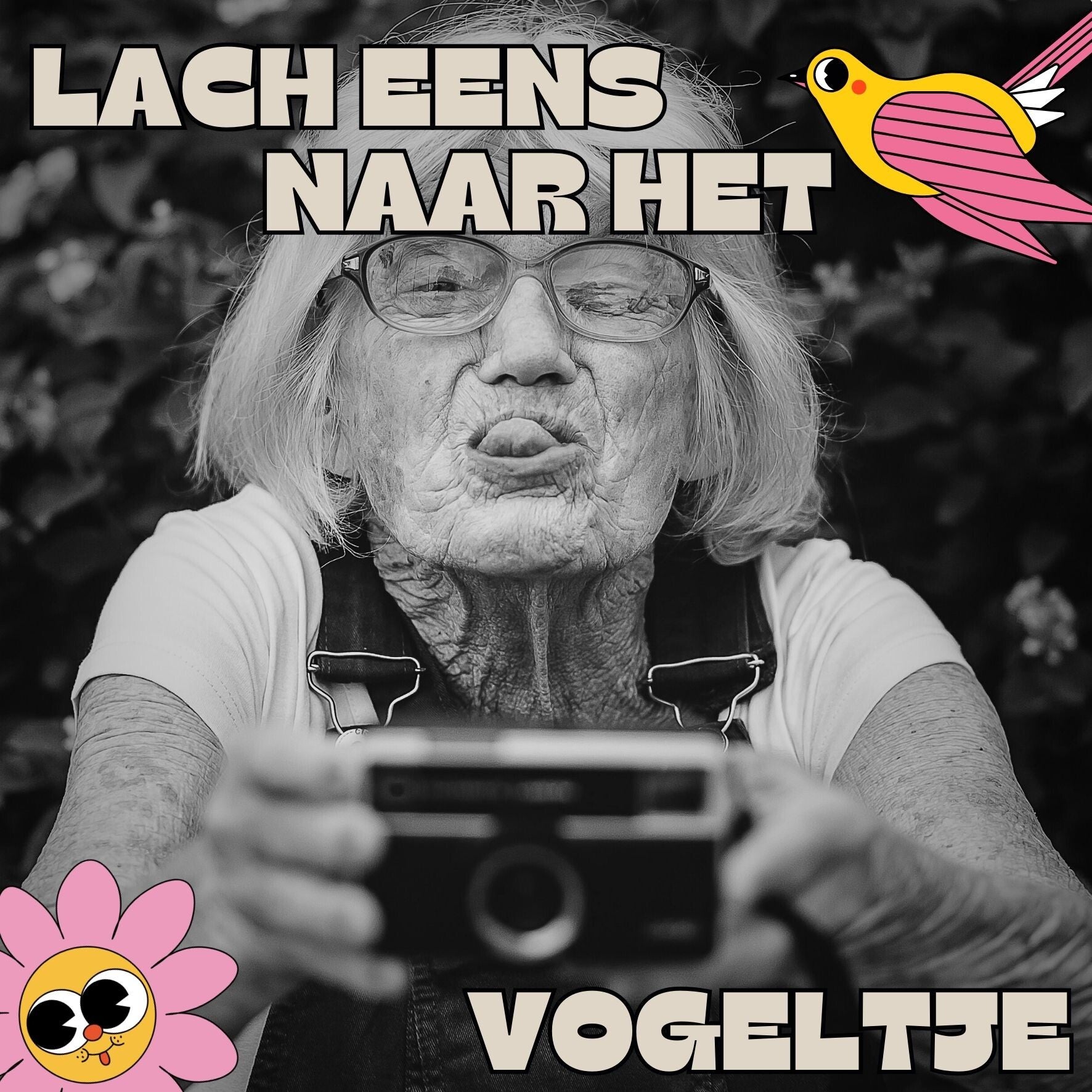 Tegel Lach een naar het vogeltje