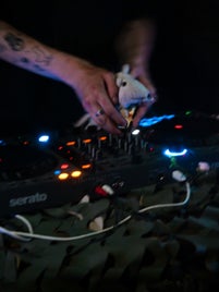 p1013612-standard.jpg