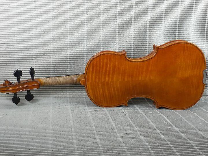 DAPHNE ON SIDE, BACK