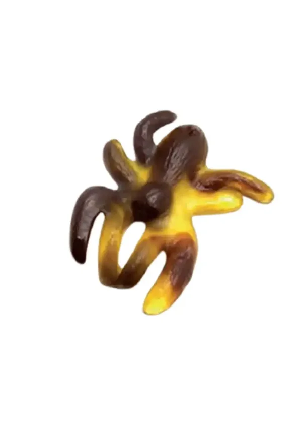 Araignée XL Cola