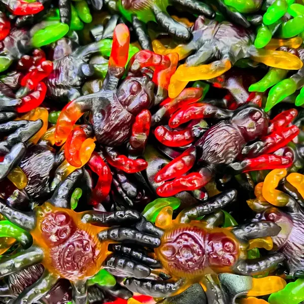 Tarentule (100g)
