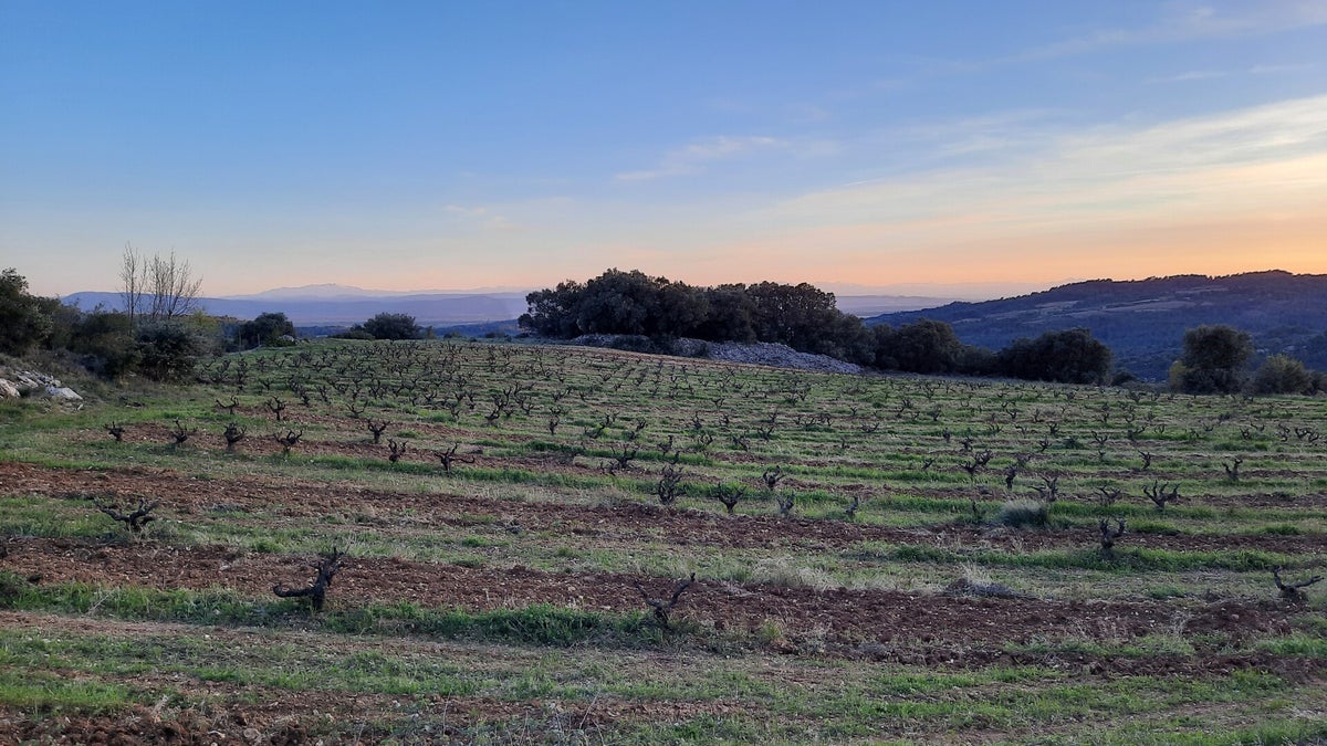 Avondwandeling / Paasvakantie 2023: Félines-Minervois / Cycling Blogs ...