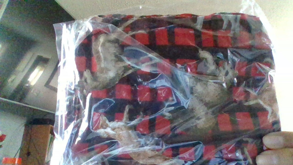 rein deer's and bears wallets