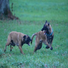 dsc_0867jpg.jpg