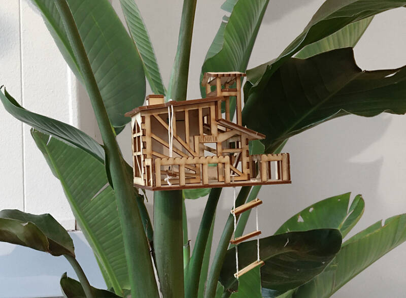 Boomhutje in een Strelitzia