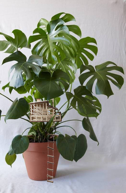 Boomhutje handleiding monstera