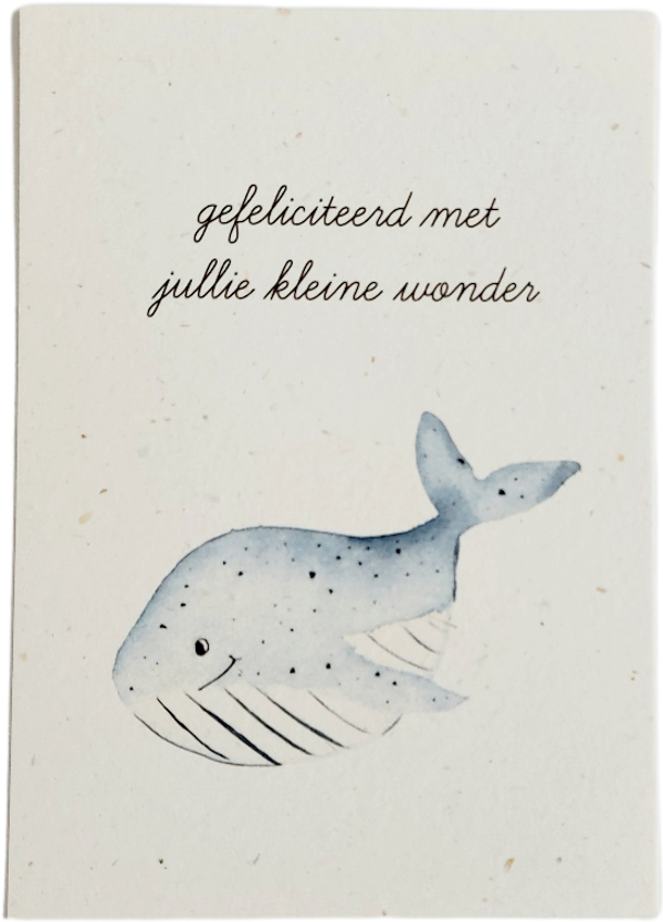 Enkele Wenskaart Baby - Little Whale