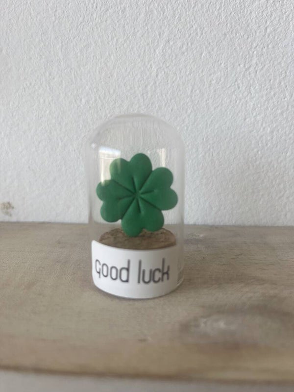 pocket hug (stulp good luck)