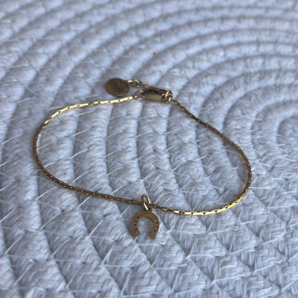 armbandje hoefijzer (goud)