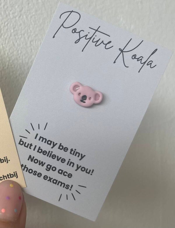 pocket hug (positive koala)