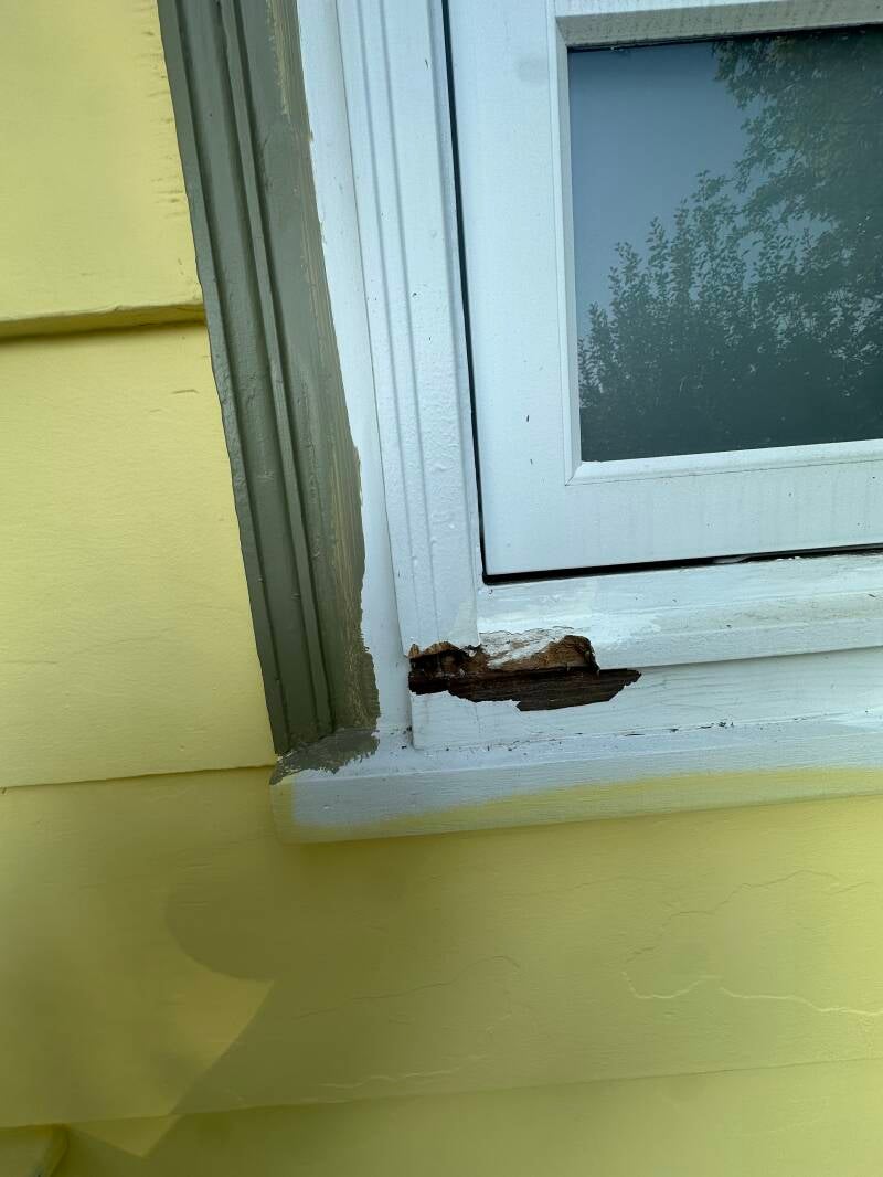 rotten window sill fixed by tidy brush painting