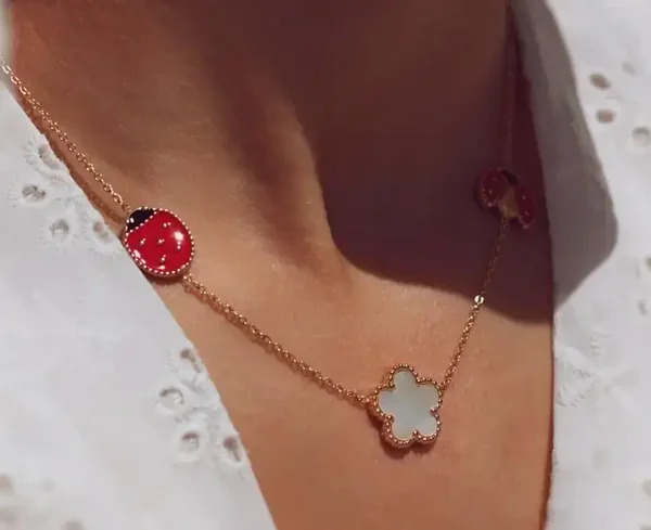 Coccinelle long