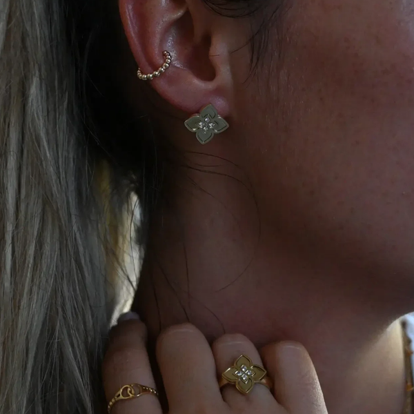 Fleur de lys