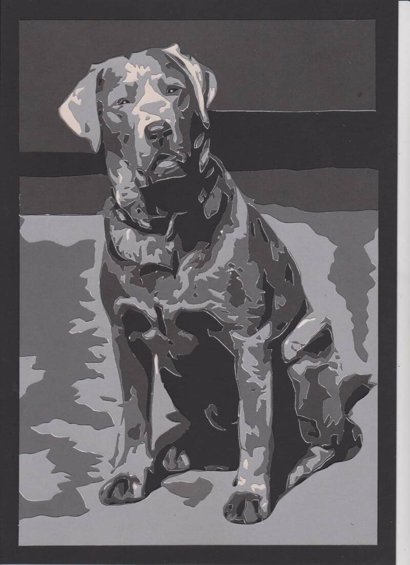 Labrador