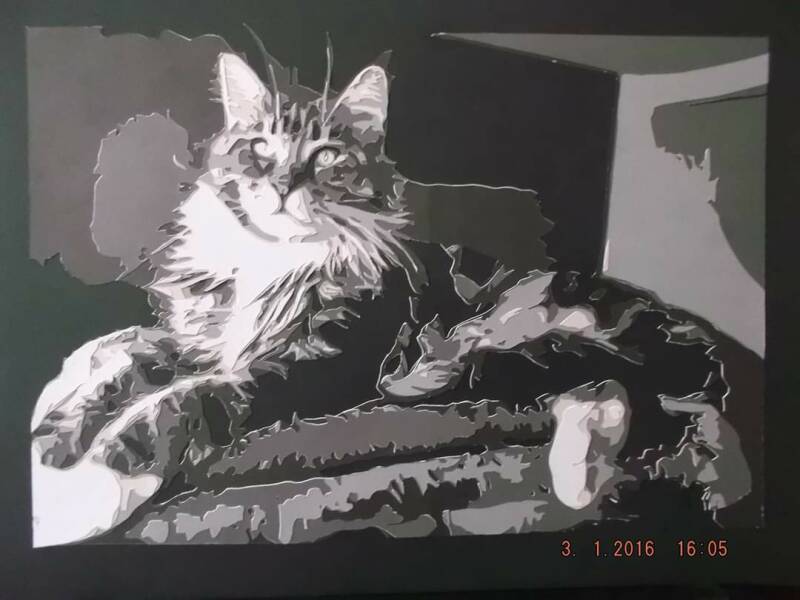 Main Coon