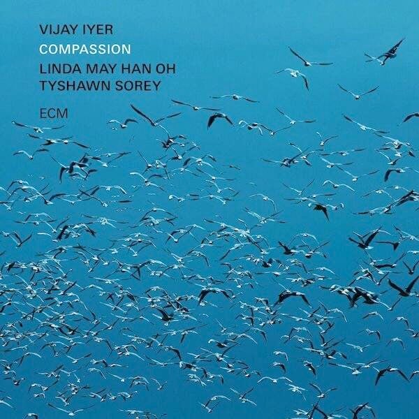 Vijay Iyer - Compassion ( 2 LP, 180g Vinyl)