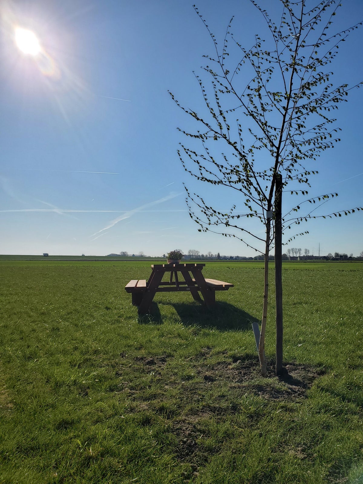 Camperplaats de Alexanderhoeve photo 3