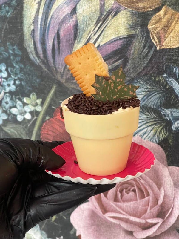 Bloempotje koekjestaart van de Bomma