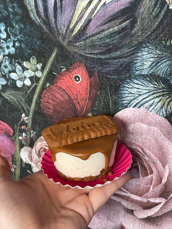 Cheesecake speculaas
