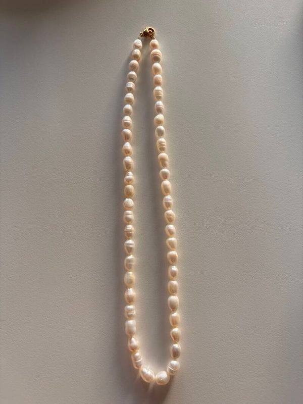 Alu