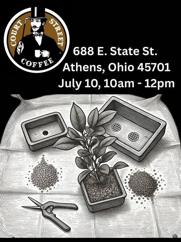 Introduction to Bonsai - Court Street Coffee