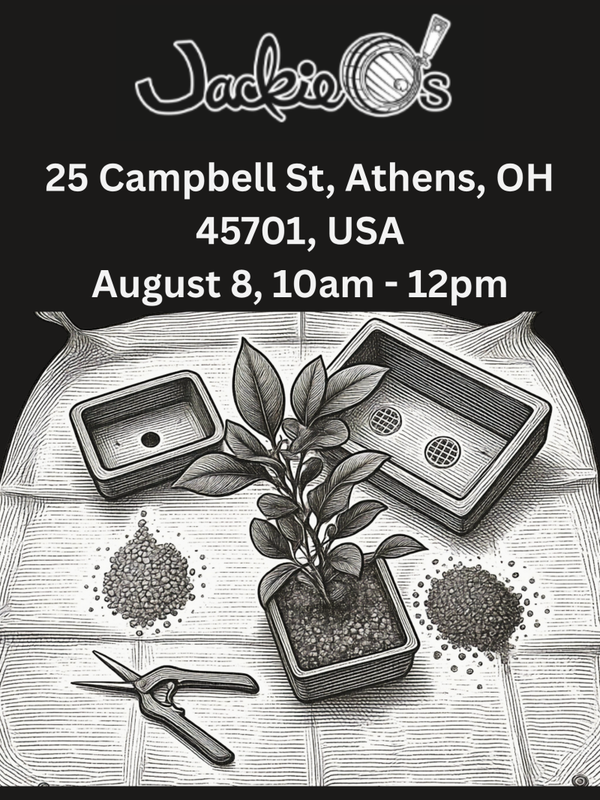 Introduction to Bonsai - Jackie O's Tap Room