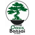 Oasis Bonsai of Ohio