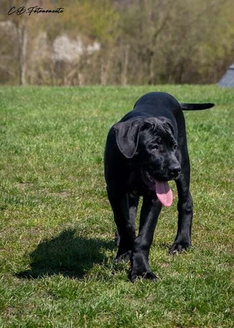 dsc_7327-standard-n8lfay.jpg