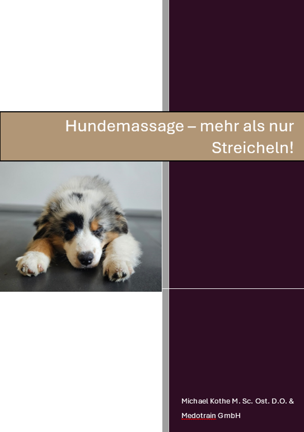 Hundemassage – mehr als nur Streicheln! (ebook)