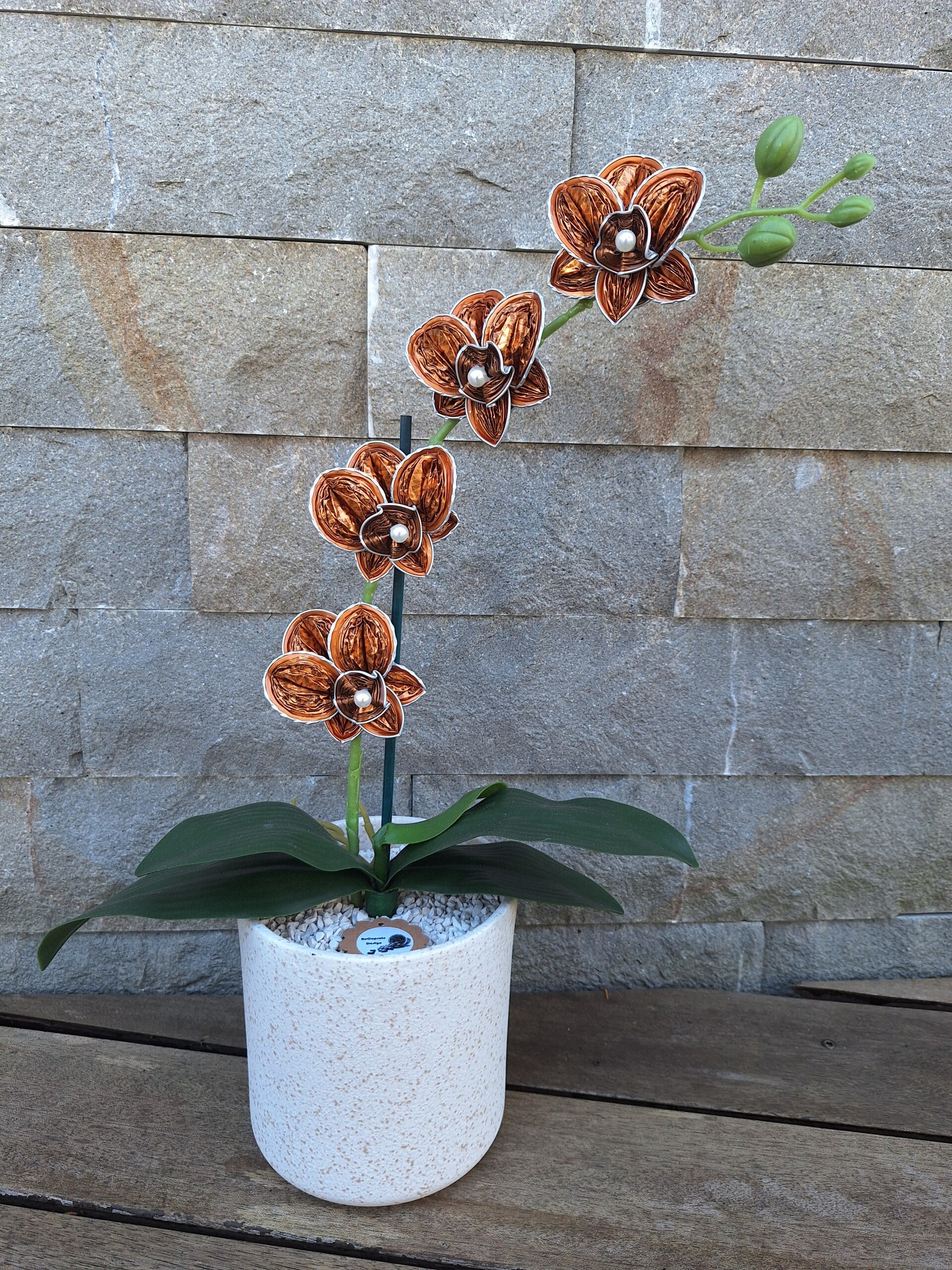 Orchidee