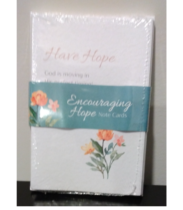 MzSucc3zz Christian Resources Encouraging Hope #8 Note Cards w/ Envelopes By Joyce Meyer