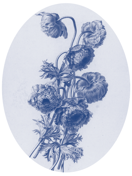 Knolanemoon - ovaal 30x40cm