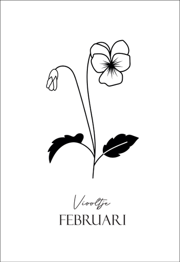 Geboortebloem Februari
